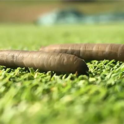 Buy Acelepryn - for the control of chafer grubs and leatherjackets