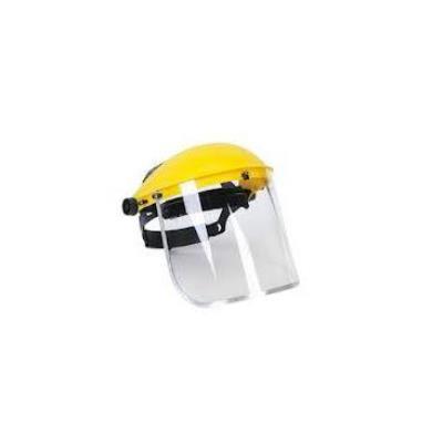 Browguard & Visor Complete