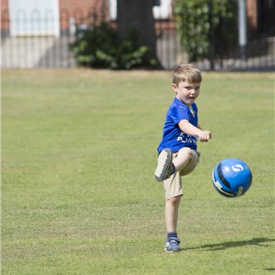 Buy Suburban  - Hard wearing lawn seed 