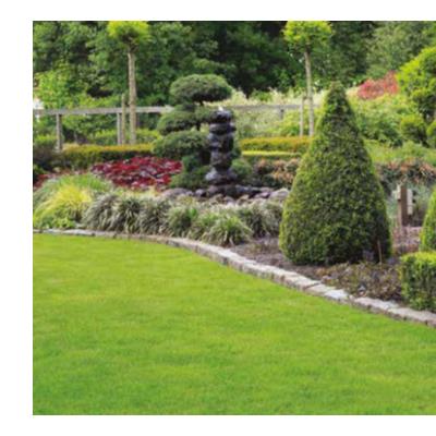 Buy Estate 2 Kg High Wear Grass Seed