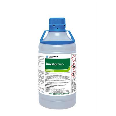 Buy Doxstar - Excellent Dock Weed Killer For Pasture & Paddocks